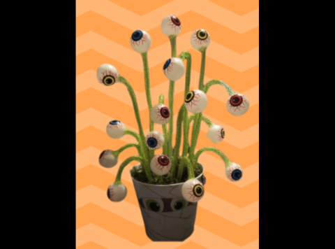 eyeball plant