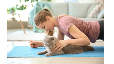 A woman doing yoga with a cat