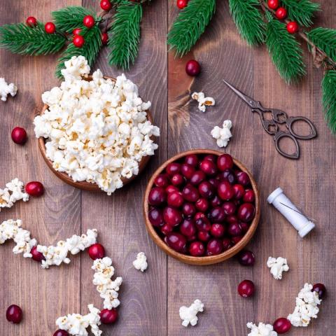 the Charlie Cart project