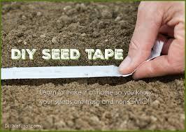 A hand holding seed tape in a garden plot. Text says DIY seed tape.