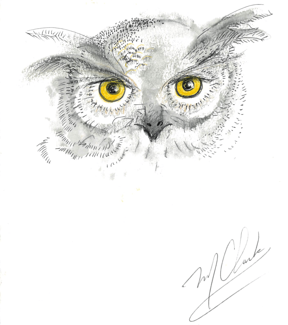 Owl watercolor